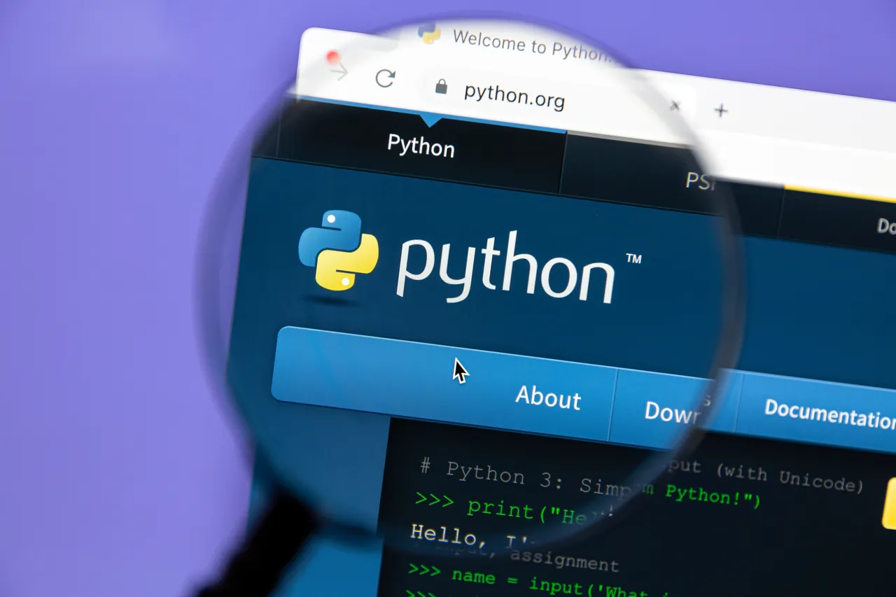 Maîtriser Python : Les snippets de code indispensable et utiles pour ...